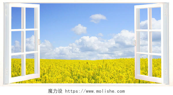 黄色春天油菜花唯美窗口风景背景展板